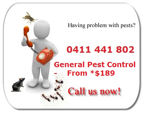 Pest Inspection Perth