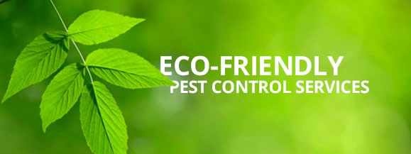 eco friendly pest control services